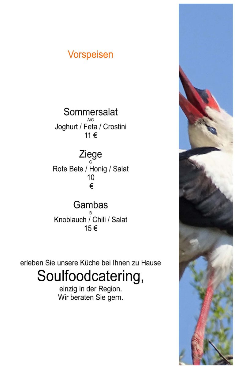Vorspeisen auf der Frühlingskarte 2026 – Genießen auf dem Land im Lindenhof Peritz